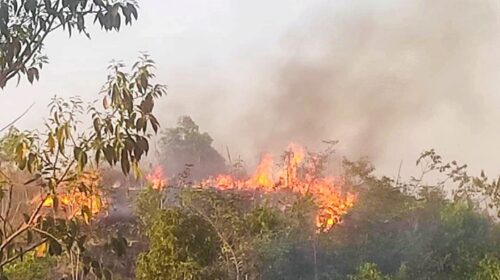 শাহজালাল বিজ্ঞান ও প্রযুক্তি