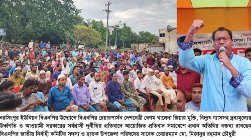 বর্তমানে বাজেটে ক্ষমতাসীন দলের সদস্যরা উপকৃত হবেন, সাধারণ মানুষ নয়- মিজানুর রহমান চৌধুরী