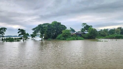 সুনামগঞ্জে বানের জলে ভেসে গেলেন দুই সন্তানসহ মা