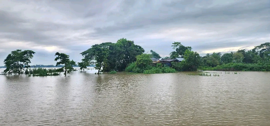 সুনামগঞ্জে বানের জলে ভেসে গেলেন দুই সন্তানসহ মা