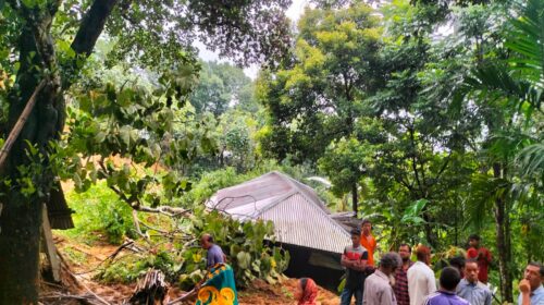চিকনাগুলে টিলা ধসে মাটি চাপায় ৩ পরিবারের বসতঘর ক্ষতিগ্রস্থ