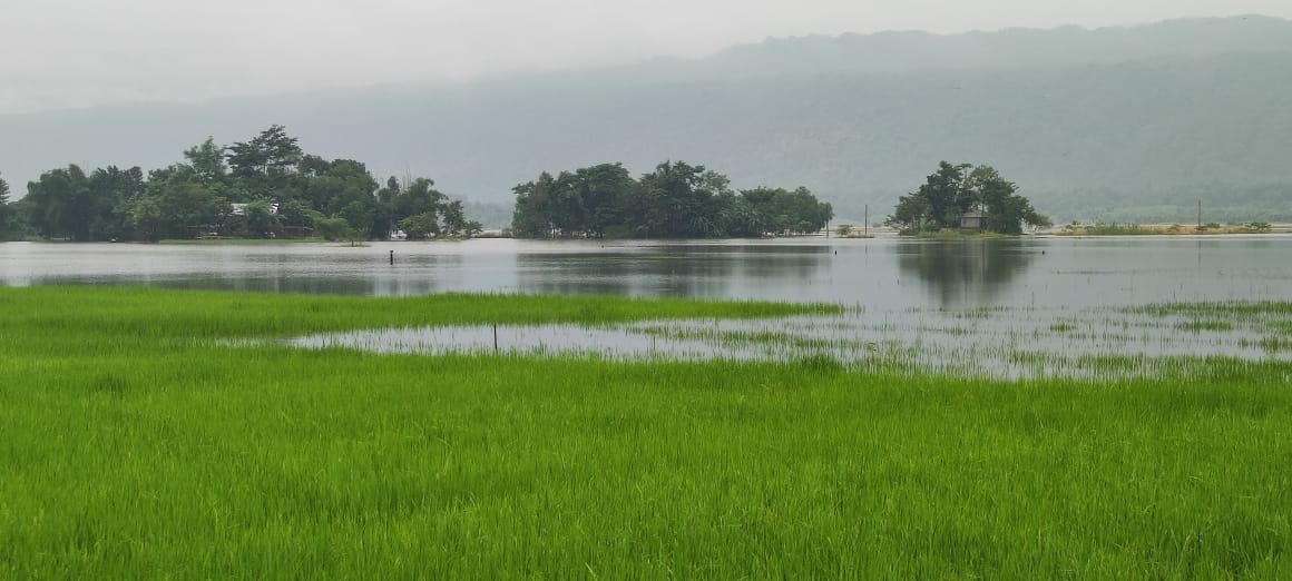 শাল্লায় ৫ হেক্টর জমি পানিতে নিমজ্জিত