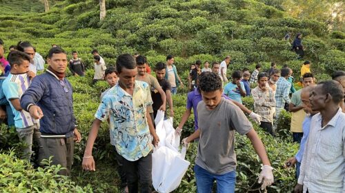 চা-বাগান থেকে যুবকের মরদেহ উদ্ধার