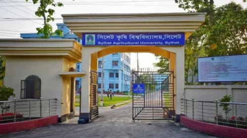 সিলেট কৃষি বিশ্ববিদ্যালয়ে রাজনীতি নিষিদ্ধ