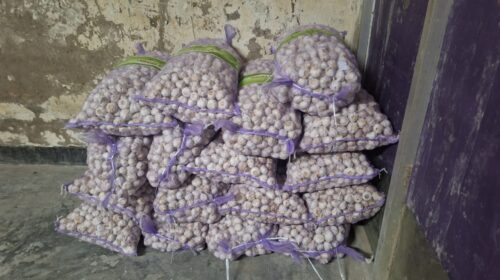 কোম্পানীগঞ্জে