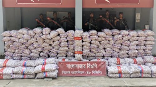 সিলেটে সাড়ে ৪৮ লাখ টাকার চোরাচালানী মালামাল আটক