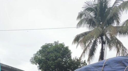 সিলেটে ১০৯ বস্তা ভারতীয় চিনি সহ আটক-২
