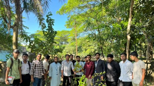 সিলেট সরকারী কলেজে স্বপ্নচূড়ার বৃক্ষরোপণ কর্মসূচি পালিত
