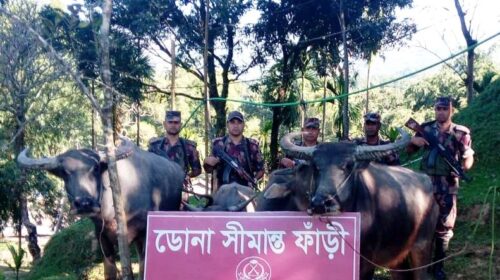 সিলেটে অর্ধ কোটি টাকার ভারতীয় চোরাই মালামাল আটক