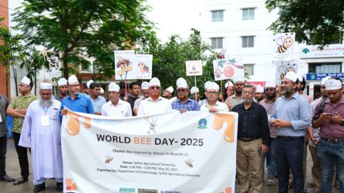 সিকৃবিতে বিশ্ব মৌমাছি দিবস পালিত