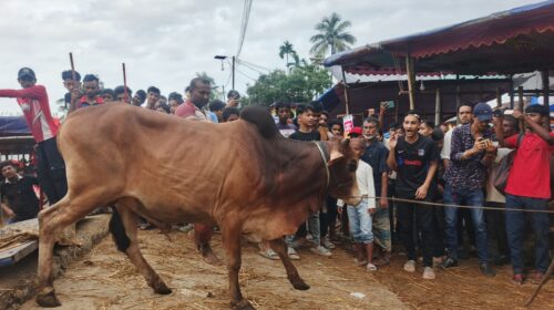 সিলেটে এখনো জমে উঠে নি কোরবানীর পশুর হাট
