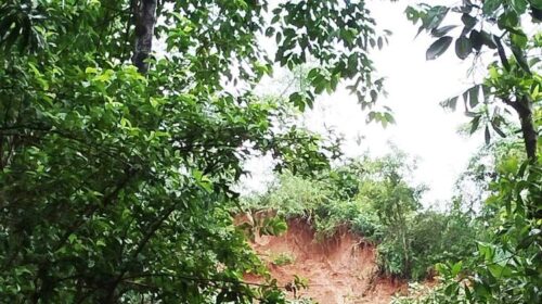 গোলাপগঞ্জে টিলা ধসে মাটিচাপায় একই পরিবারের চারজনের মৃত্যু